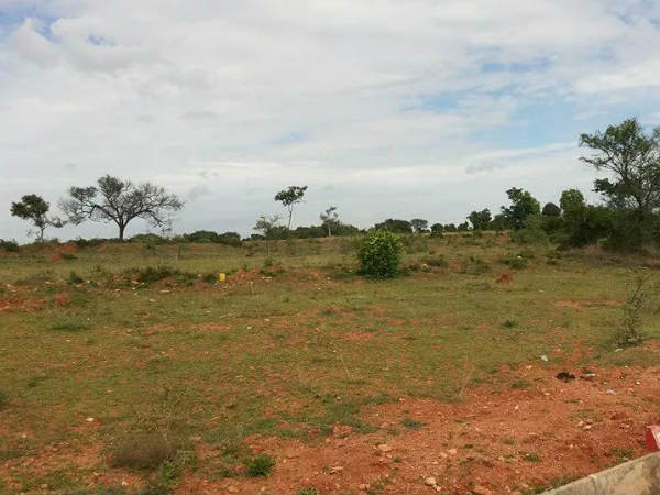 ಜಮೀನುಗಳ ಸರ್ವೆ ಕಾರ್ಯ